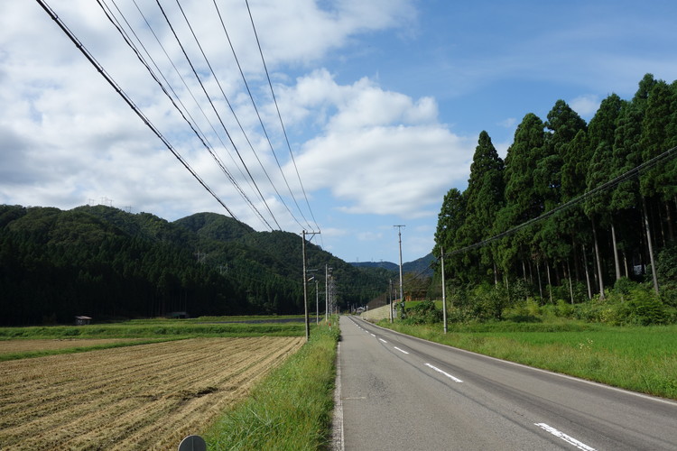 田舎道